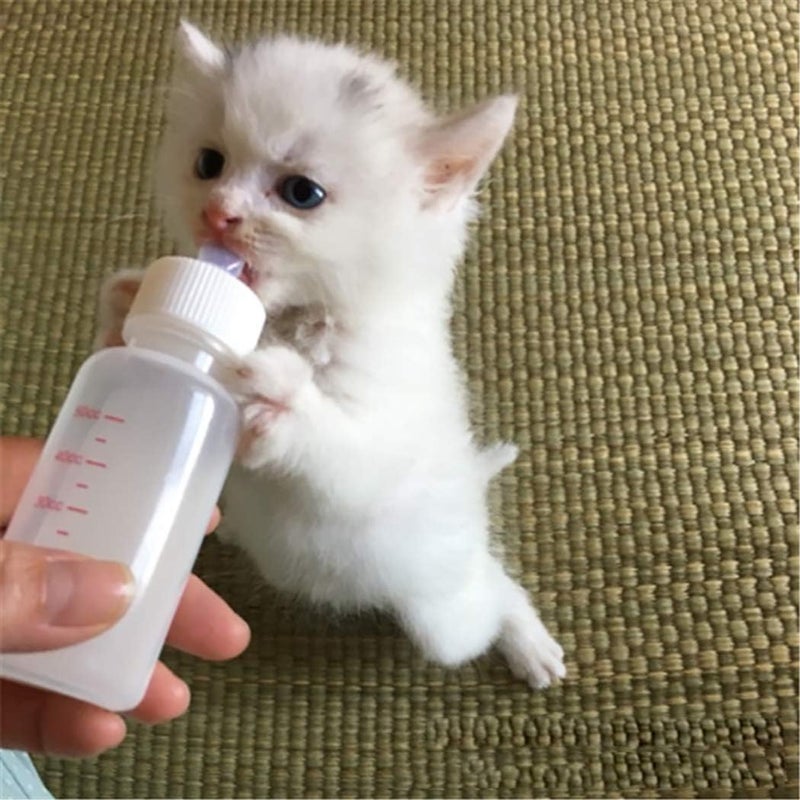 DoubleWood Pet Nursing Bottle Kit for Newborn Animals - Image 2